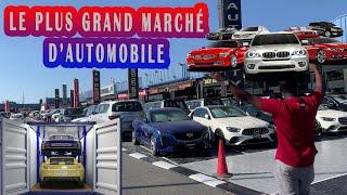 LE PLUS GRAND MARCHÉ  D'AUTOMOBILE A DUBAI