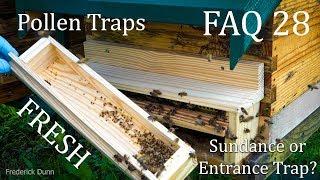 Pollen Traps for Beehives FAQ 28 What Trap is best for Pollen Collection, Super Food? Bee Stock