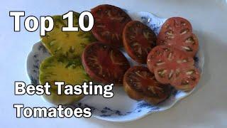 Top 10 Best Tasting Tomatoes According To 360,000 Viewers