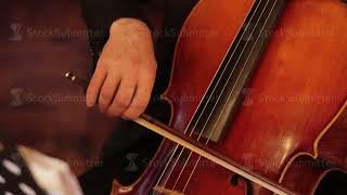 Hands of a professional double bass musician playing at the wedding