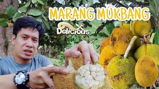 HUNTING MARANG PHILIPPINES | LOY IMAM