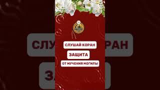 красивое чтение коран слушайте коран и сохранять молчание #quran#sura#quranuz#коран#ислам#сура#short