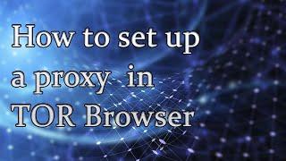 How to set up a proxy for the Tor browser.  Step-by-step setting guide