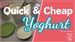 Quick & Cheap Yoghurt Tutorial | Thermomix savings