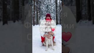 Наша семья️ #husky #husky #собака #семья #family #идеядляфото #зима #новыйгод #хаски