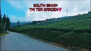 South Sikkim tmi tea garden|| #sikkim #southsikkim  #fristvlog #fpy