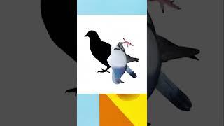 পারবেন কি? #CircleVideo2025 #circlevideo #circlechallengeVfxPrakashJi sandeepbarouli