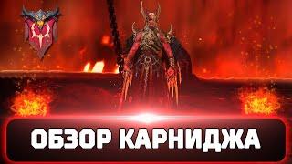 Обзор Карниджа Анархиста!