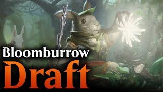 Down the Rabbit Hole | Bloomburrow Premier Draft | Magic Arena