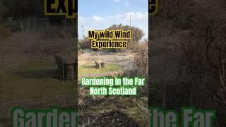 Wild Windy Garden - North Scotland #trees #garden #travel