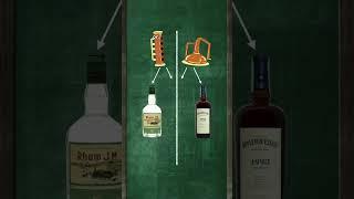 Rum explained for beginners : the main types explained and how to pick! #shorts