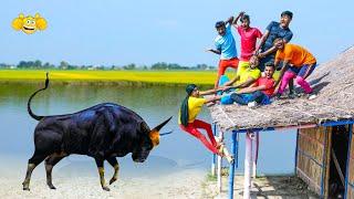 Very Special Trending Funny Comedy Video 2025  Amazing Comedy Video 2022 Episode 37 By #sohelsheikh