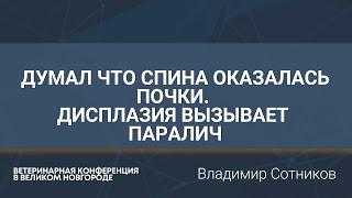 Думал что спина оказалась почки. Дисплазия вызывает паралич