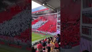 1.FC Kaiserslautern - 1.FC Köln