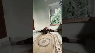 Split  | #mrsuhu #shorts #viral #motivation #split #flexibility #like #challenge