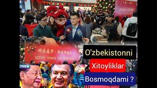 o'zbekistonni xitoyliklar bosmoqdami ? / Pandadan Ajdarga aylanayotgan Xitoy. #china  #uzbekistan