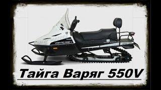 Снегоход. Тайга Варяг 550 v (отзыв владельца)