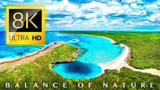 Balance of Nature 8K ULTRA HD - Travel Around the Earth with Calming Music - TV TEST