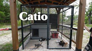 We Build an Outdoor Cat Enclosure