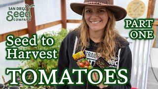 START TOMATOES LIKE A PRO  COMPREHENSIVE Guide for Gardeners to Master Growing this Gateway Crop