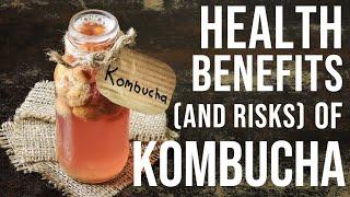 NEW (2024) Science on KOMBUCHA Tea Health Benefits | Is Kombucha ACTUALLY Good for Gut Health?