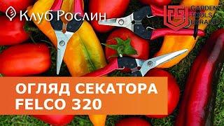 Felco 320 - pruning shears for fruit picking (Japan)