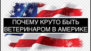 Почему круто быть ветеринаром в Америке?