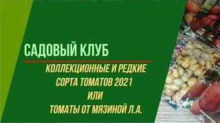 ТОМАТЫ 2021: КОЛЛЕКЦИОННЫЕ И РЕДКИЕ СОРТА  или томаты ОТ МЯЗИНОЙ Л.А.