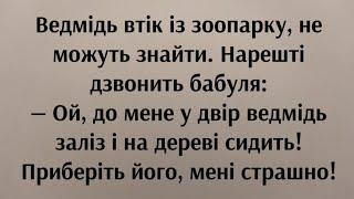 Анекдот про собачку і ведмедя | Анекдот до сліз | Угарний Анекдот від Жеки | Смішно |  Життєвий.