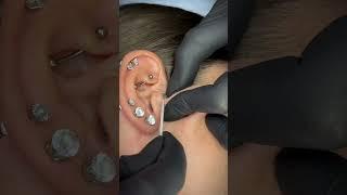 Would you do this?  Surface Tragus Piercing