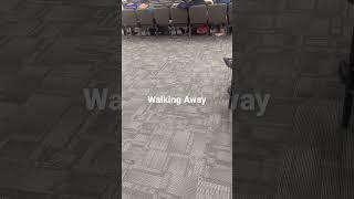 Walking Away Candid Legs