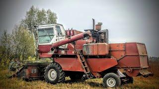 Модернізований комбайн Нива СК-5 поломка під час жнив гречки! Огляд модернізацій та доопрацювань!