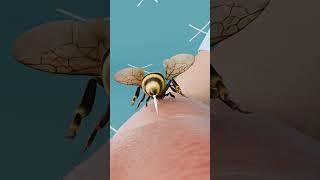Bee sting therapy can cure diseases..!! #3danimations  #knowledge   #science