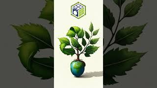 Our circular economy - Are you ready to be part of the change?