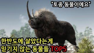 한반도에 살았다는게 믿기지 않는 고대동물들 TOP5