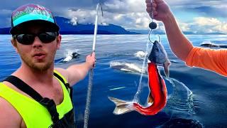 Alaska Fishing for Giant Halibut in a Deep Sea Tide Rip