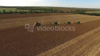 four combines harvest sunflower 43al3dvpx  WL