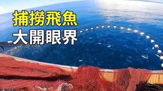 飛魚的一生有多離譜？ 愛真的需要勇氣