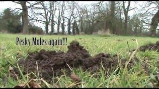 Moles 2015