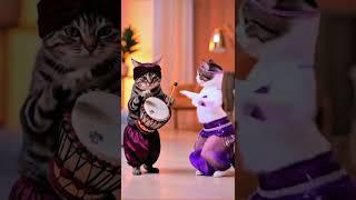 बिल्ली vili catun video #trendingshorts