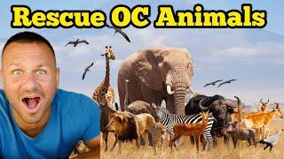 Odder Creek ANIMALS NEED RESCUED / ADOPTED