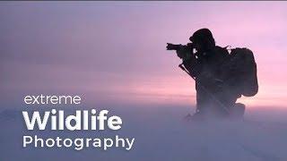 Wildlife Photography Expedition | Behind the scenes in Greenland with photographer Morten Hilmer