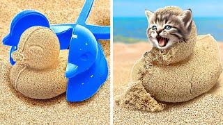 We Saved a Stray Kitten from the Sand!  | Best Hacks for Pet Owners 