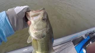 Jig and Shakey head Worm make fish bite at Truman Lake 5-24-2020