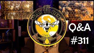 Backyard Beekeeping Q&A Episode 311 when a colony attacks, what can you do?