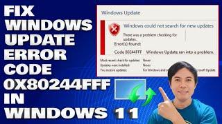 How To Fix Windows Update With Error Code 0x80244FFF in Windows 11