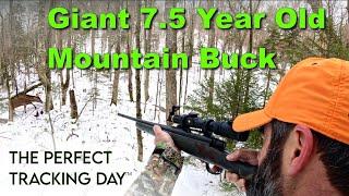 The Perfect Tracking Day | A Tracking 200 Adirondack Big Buck Film #deerhunting #onx #Forloh #STAGR