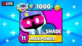 New Brawler Shade.. 1500 Push