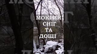 Мокрий сніг, дощі та вітер в Україні #weather #shorts