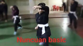 nuncuan basic/Wushu